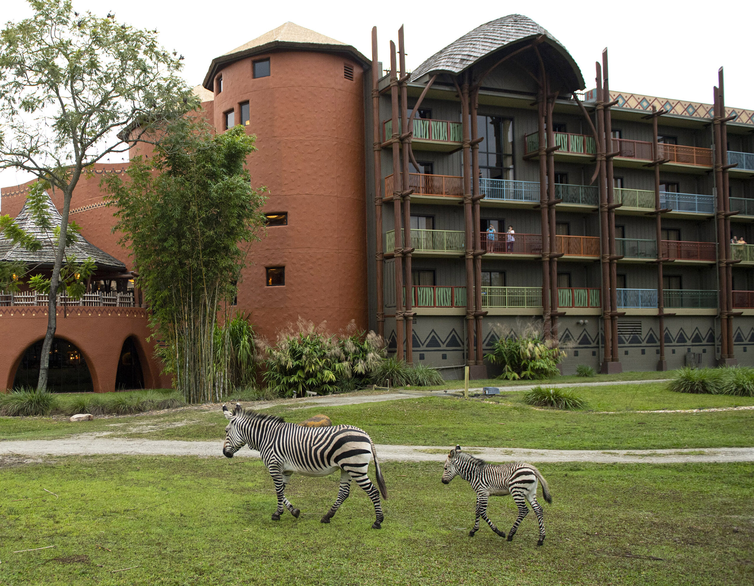 Disney's Animal Kingdom Lodge (©David Roark)