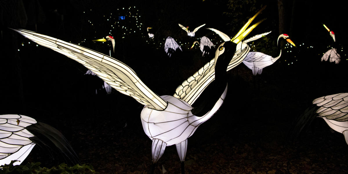 The Bronx Zoo doesn’t disappoint with its seasonal celebration of lights |