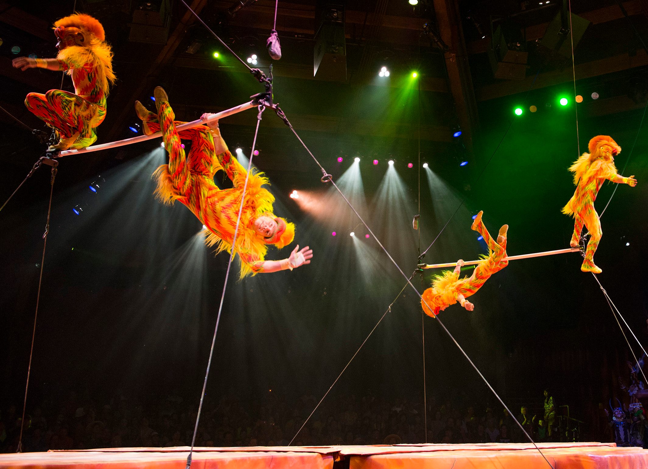 Festival of the Lion King at Disney's Animal Kingdom (©Ryan Wnendler)