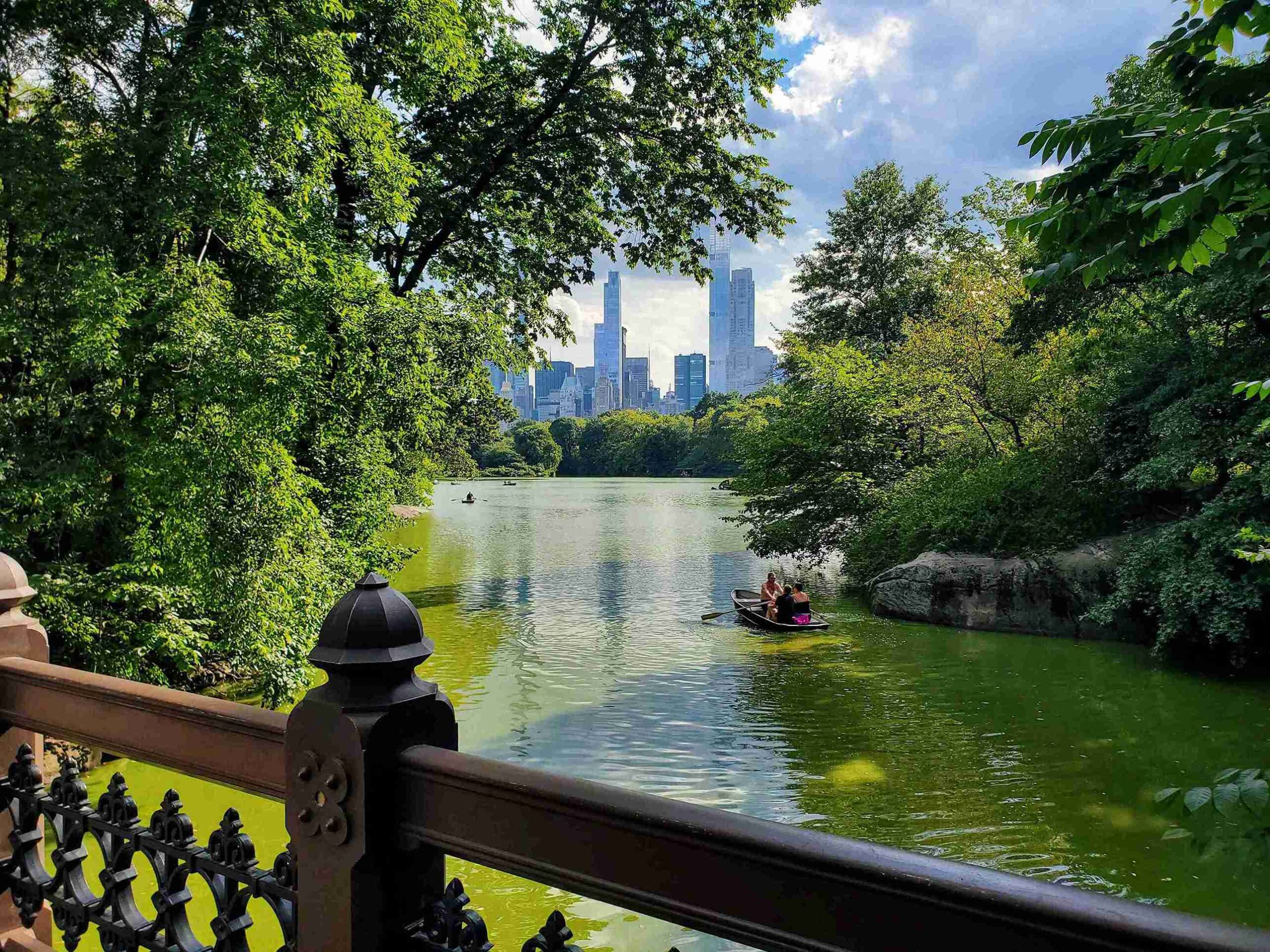 Central Park (©Aniket Das)